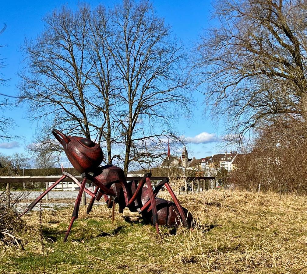 Sonne Living-Bremgarten Luaran gambar
